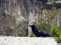 Canyon village (10).JPG